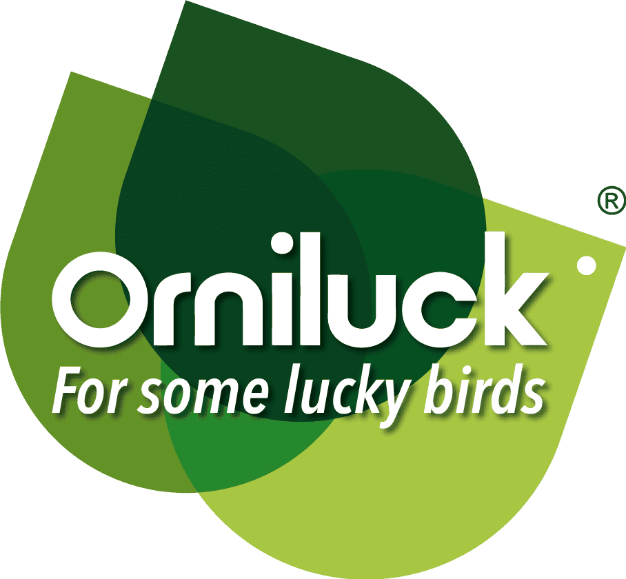 Ceba para aves, alimentación natural, semillas y complementos para aves felices y saludables.